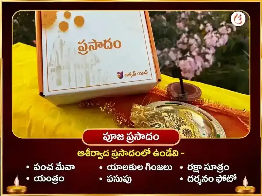 సూర్య-మా బగళాముఖి విశేష్ శత్రు వినాశక్ నిమ్మ మిర్చి మహాతంత్ర హవన్ puja gallery 3