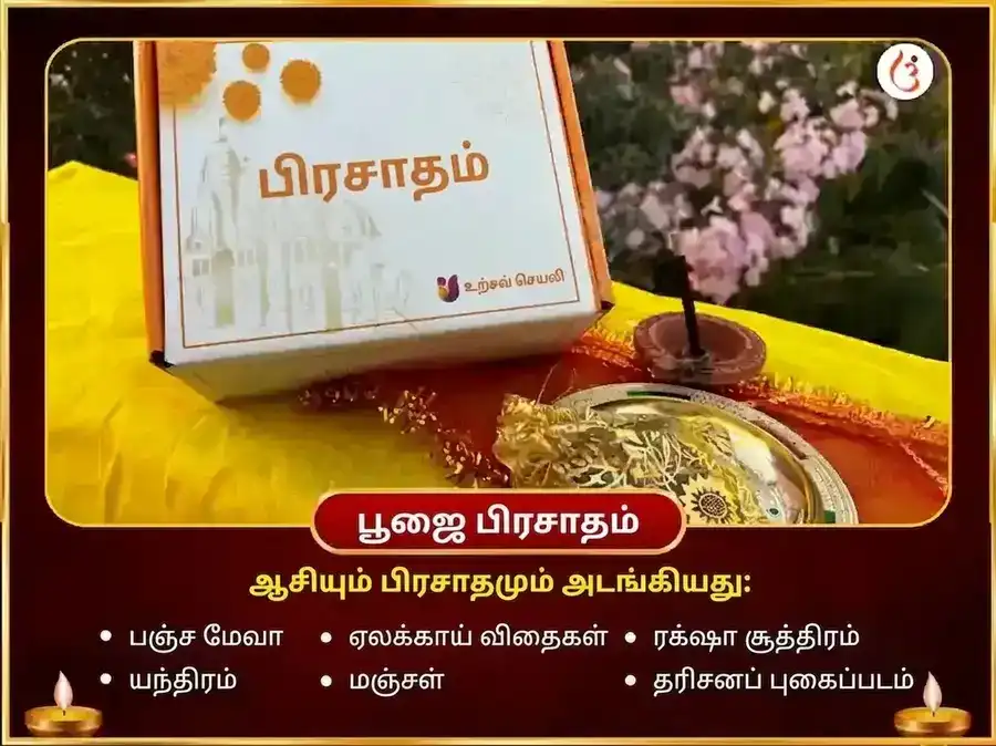 சூர்ய-மா பகளாமுகி விசேஷ சத்ரு விநாசக நிம்பு மிர்ச்சி மஹாதந்திர ஹவன் puja gallery 3
