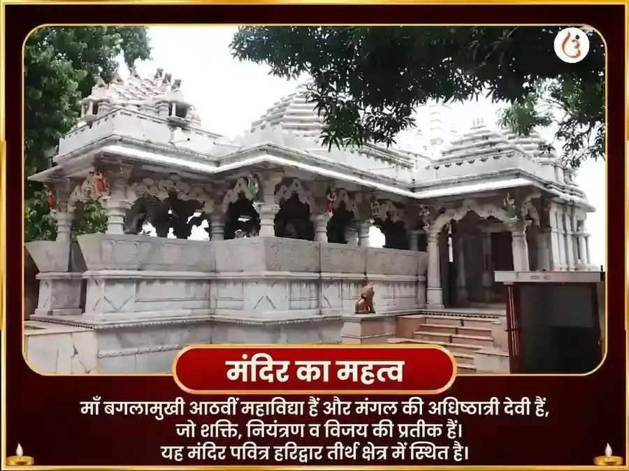 सूर्य-माँ बगलामुखी विशेष शत्रु विनाशक नींबू मिर्ची महातंत्र हवन puja gallery 4