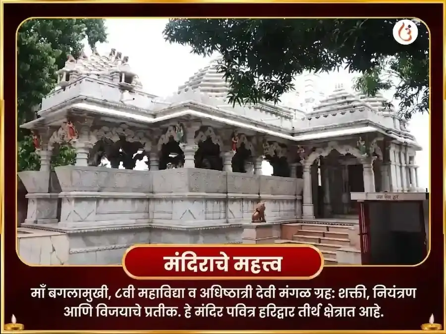 सूर्य-माँ बगलामुखी विशेष शत्रु विनाशक लिंबू मिरची महातंत्र हवन puja gallery 4