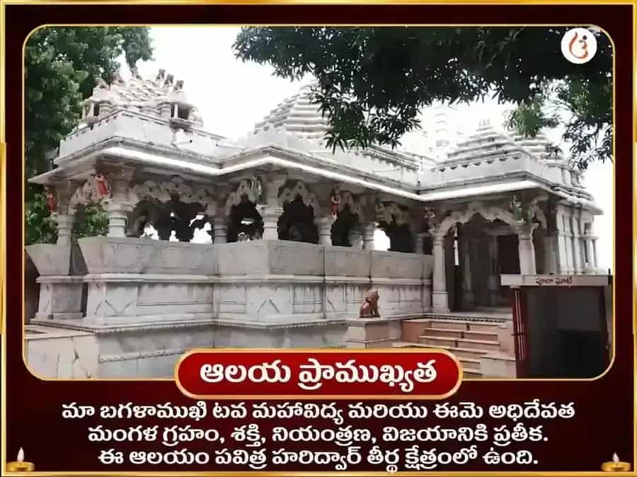 సూర్య-మా బగళాముఖి విశేష్ శత్రు వినాశక్ నిమ్మ మిర్చి మహాతంత్ర హవన్ puja gallery 4