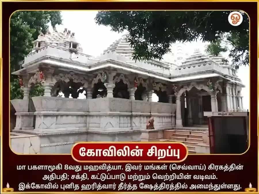 சூர்ய-மா பகளாமுகி விசேஷ சத்ரு விநாசக நிம்பு மிர்ச்சி மஹாதந்திர ஹவன் puja gallery 4