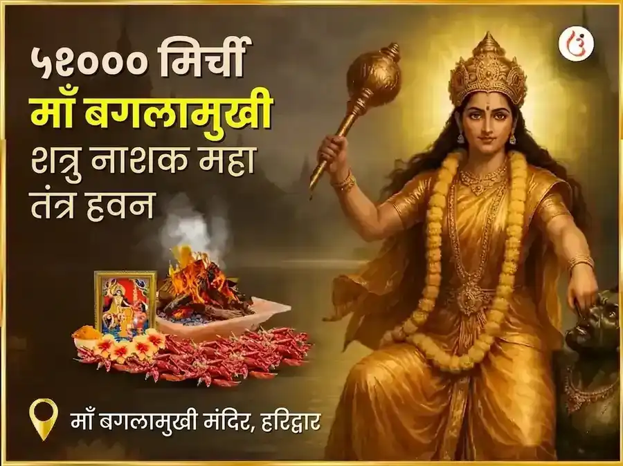 माँ बगलामुखी जयंती विशेष 1008 बगलामुखी स्तंभन मंत्र जाप और देवी कमलात्मिका 16 कला पूर्ति महा हवन संयुक्त अनुष्ठान puja image 1
