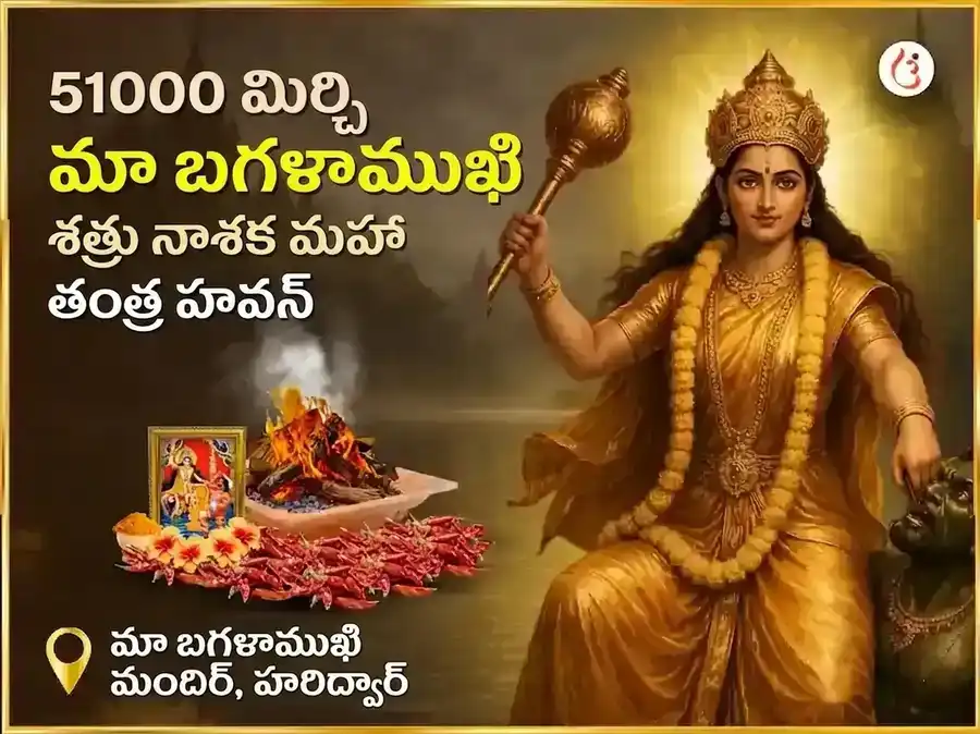 మా బగళాముఖి జయంతి ప్రత్యేక 1008 బగళాముఖి స్తంభన మంత్ర జాప్ మరియు దేవి కమలాత్మిక 16 కళా పూర్తి మహా హవన్ సంయుక్త అనుష్ఠానం puja image 1