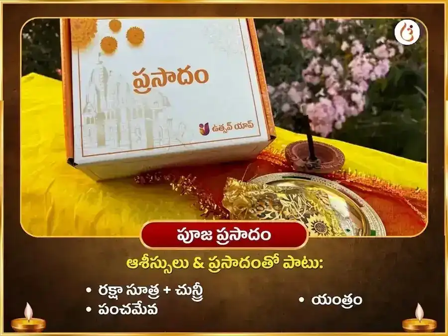 మా బగళాముఖి జయంతి ప్రత్యేక 1008 బగళాముఖి స్తంభన మంత్ర జాప్ మరియు దేవి కమలాత్మిక 16 కళా పూర్తి మహా హవన్ సంయుక్త అనుష్ఠానం puja gallery 3