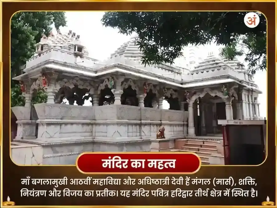 माँ बगलामुखी जयंती विशेष 1008 बगलामुखी स्तंभन मंत्र जाप और देवी कमलात्मिका 16 कला पूर्ति महा हवन संयुक्त अनुष्ठान puja gallery 4