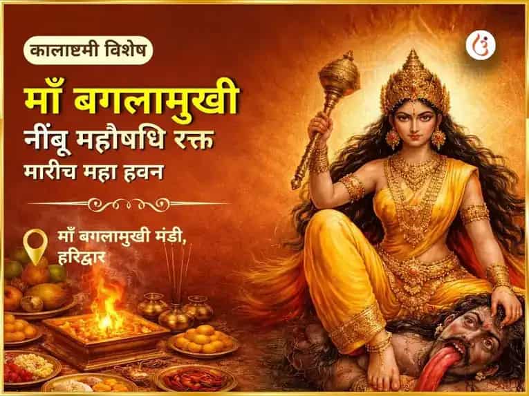 बगलामुखी जयंती विशेष माँ बगलामुखी नींबू महौषधि रक्त मिर्च महा हवन puja image 1