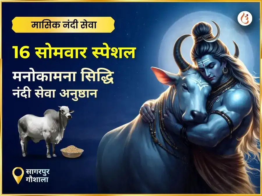 सोमवार विशेष अभिव्यक्ति पूर्ति साप्ताहिक (साप्ताहिक) नंदी सेवा puja image 1