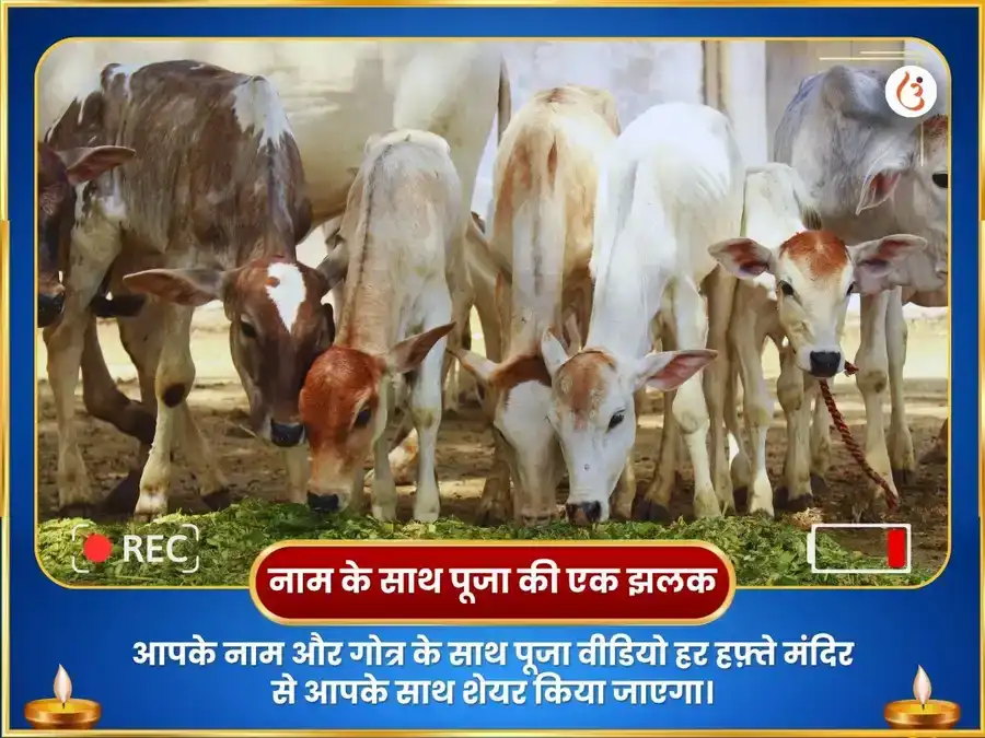 सोमवार विशेष अभिव्यक्ति पूर्ति साप्ताहिक (साप्ताहिक) नंदी सेवा puja gallery 4