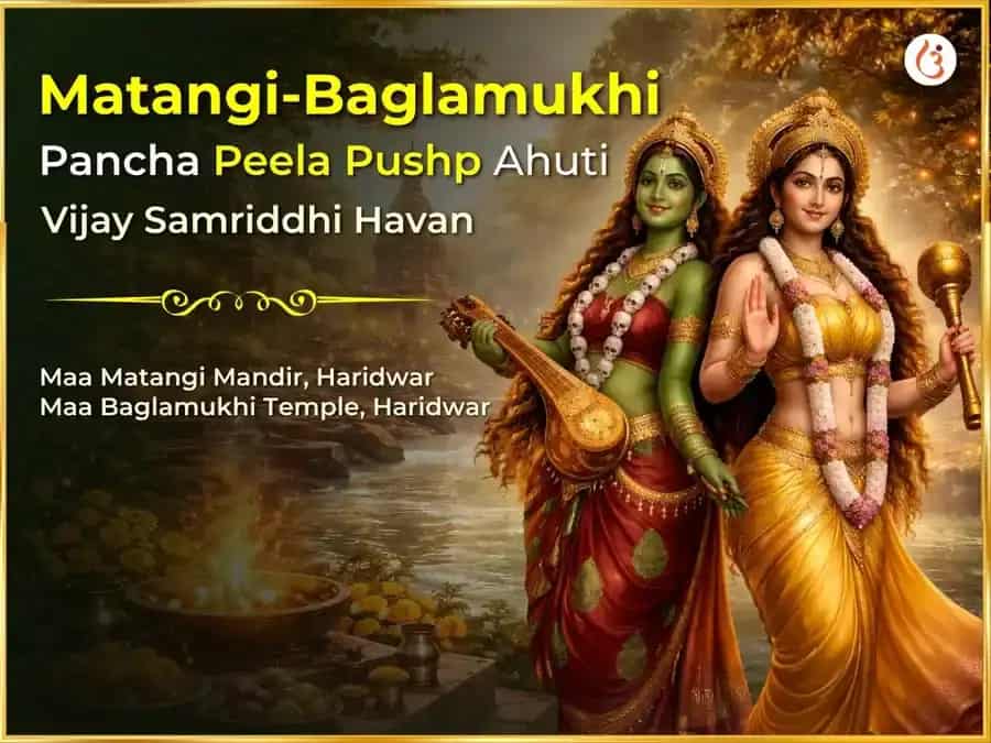 Pancha Peela Pushp Ahuti sahit Matangi-Baglamukhi Vijay Samriddhi Maha Havan Anusthan puja image 1