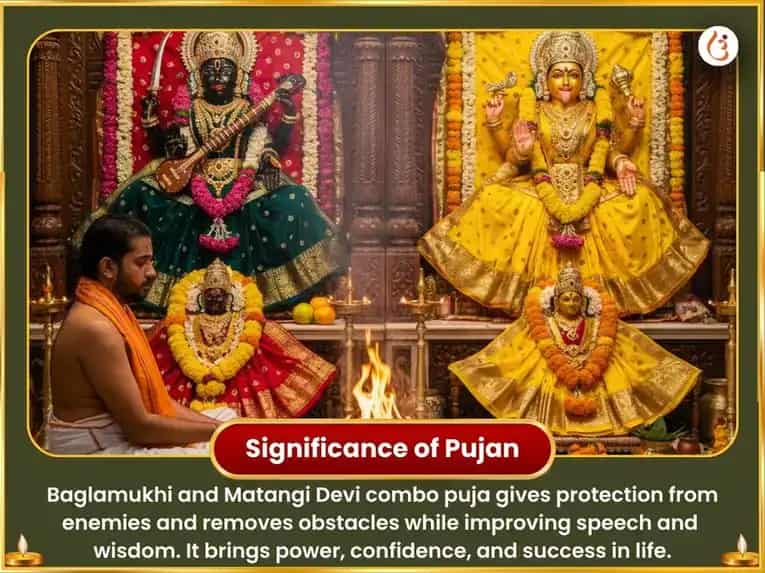 Pancha Peela Pushp Ahuti sahit Matangi-Baglamukhi Vijay Samriddhi Maha Havan Anusthan puja gallery 5