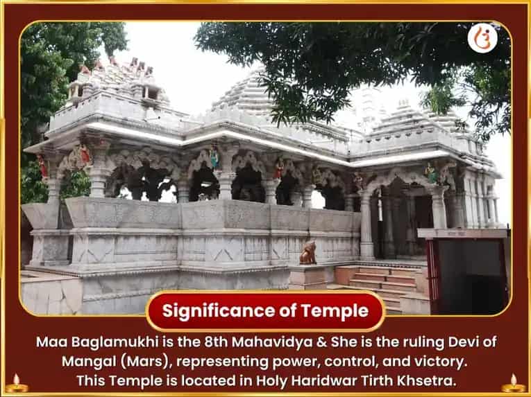  Baglamukhi Jayanti Special 36,000 Baglamukhi Ashtakam Path puja gallery 4