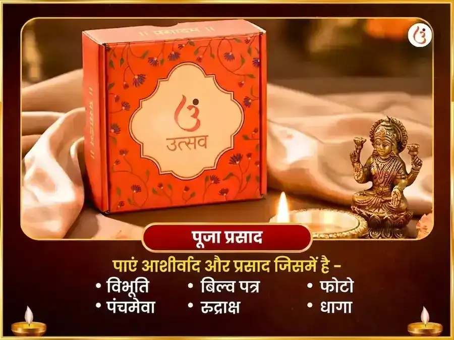 त्र्यंबकेश्वर ज्योतिर्लिंग तीर्थ क्षेत्र विशेष रुद्र अभिषेक पूजा puja gallery 3