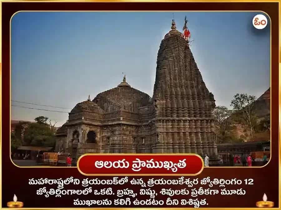 త్రయంబకేశ్వర్ జ్యోతిర్లింగ తీర్థ క్షేత్ర విశేష్ రుద్ర అభిషేక్ పూజ puja gallery 4