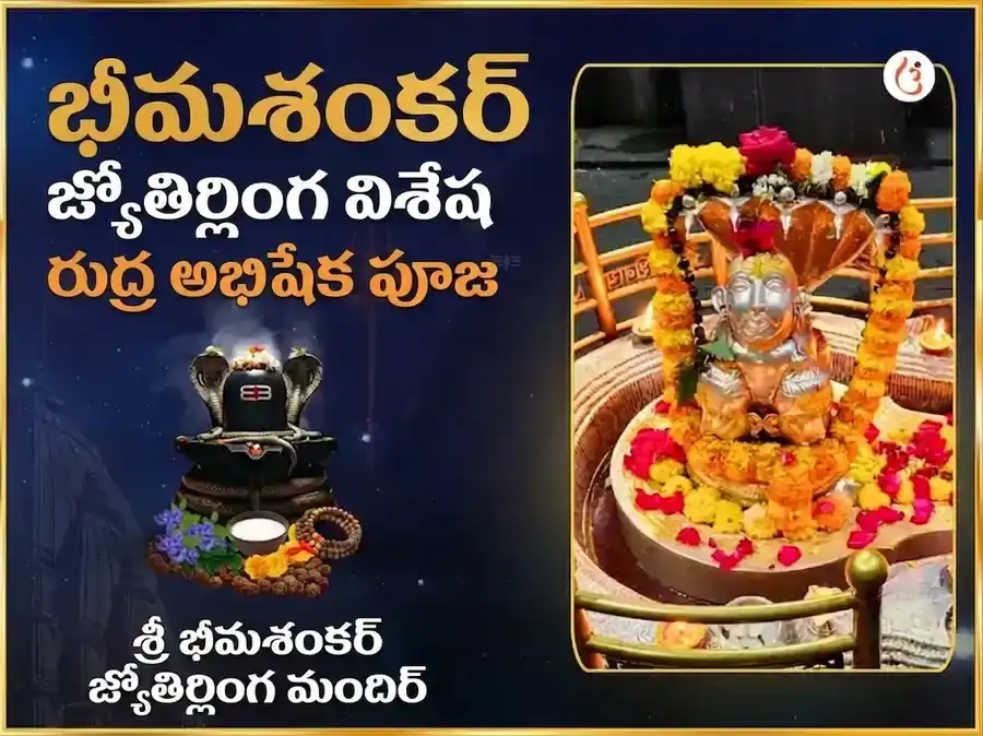 భీమశంకర్ జ్యోతిర్లింగ విశేష రుద్రాభిషేక మహా పూజ puja image 1