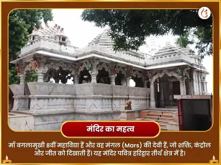 बगलामुखी हरिद्रा गणपति हनुमान केसरी विजय कवच हवन अनुष्ठान puja gallery 4