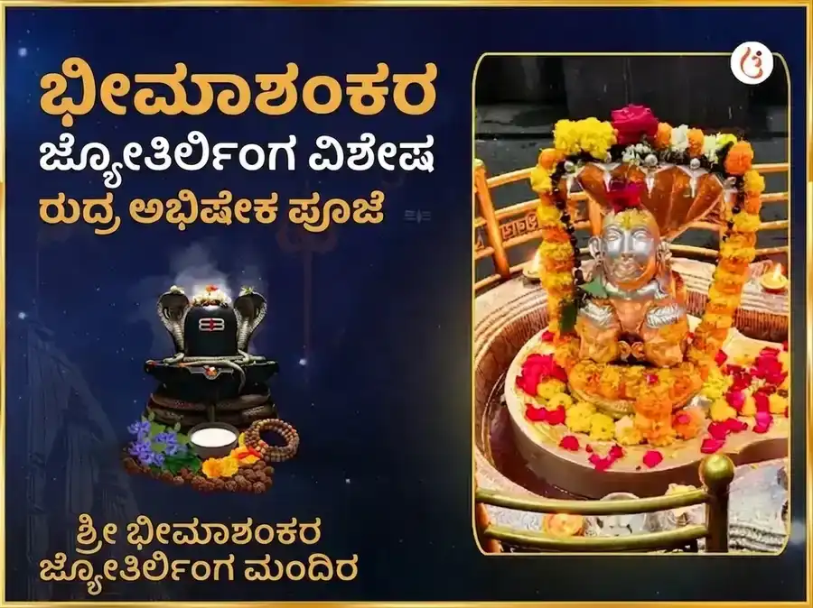 ಭೀಮಾಶಂಕರ ಜ್ಯೋತಿರ್ಲಿಂಗ ವಿಶೇಷ ರುದ್ರಾಭಿಷೇಕ ಮಹಾ ಪೂಜೆ puja image 1