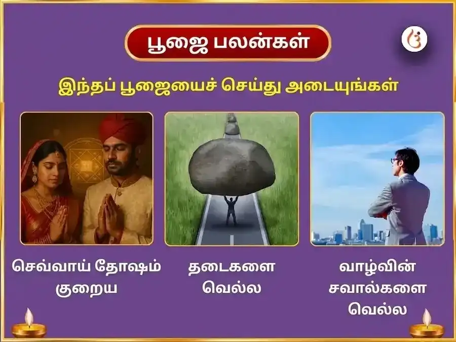 சுவாமி சுப்ரமண்ய மங்கள சாந்தி 1008 பீஜ மந்திர ஜப சஹித திவ்ய தாமிர வேல் அர்ப்பணம் puja gallery 1