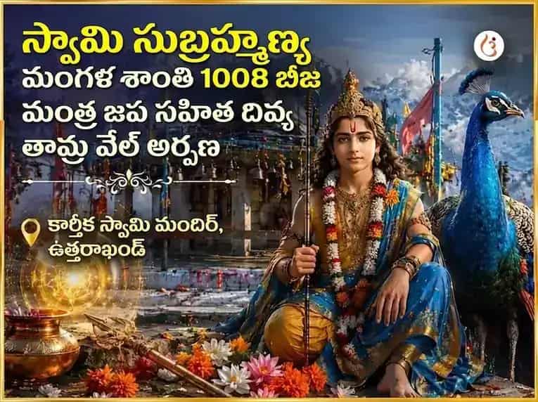 స్వామి సుబ్రహ్మణ్య మంగళ శాంతి 1008 బీజ మంత్ర జప సహిత దివ్య తామ్ర వేల్ అర్పణ puja gallery 5