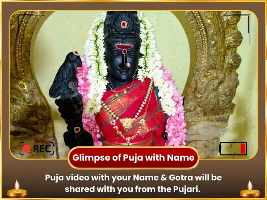  Thrissur Pooram Rameshwaram Tirth Vishesh Mahashakti Gaja-Aishwarya Prapti 1008 Shiv–Parvati Beej Mantra Jaap & Gaja Shringar Arpan  puja gallery 2