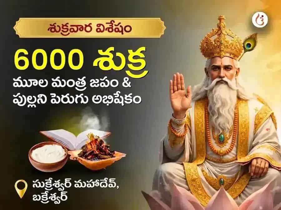 శుక్రవార విశేషం ౬౦౦౦ శుక్ర మూల మంత్ర జప గ్రహ శాంతి అనుష్ఠానం & పుల్లటి పెరుగు అభిషేకం puja image 1