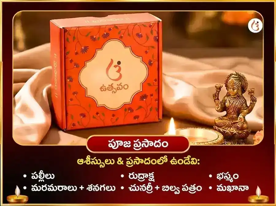 మా కామాఖ్య కామ కామేశ్వరి మంత్ర జాప్ మహా పూజ puja gallery 2