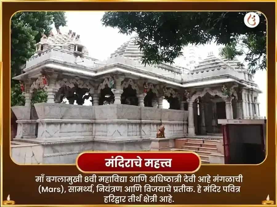 मा बगलामुखी 36000 बगलामुखी अष्टकम पाठ puja gallery 4