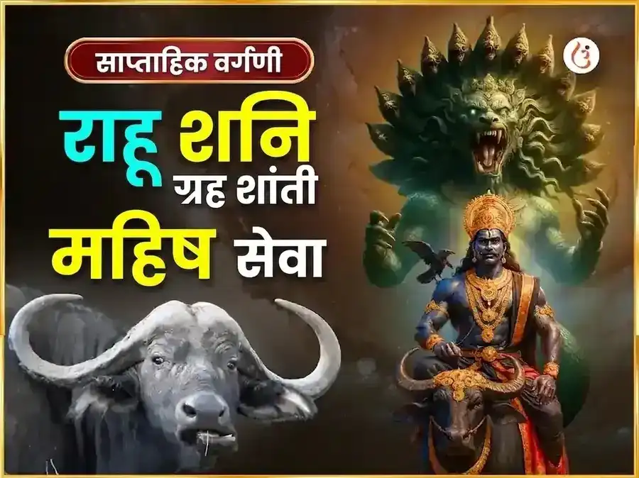 शनिवार विशेष राहू शनि ग्रह शांती साप्ताहिक महिष सेवा puja image 1