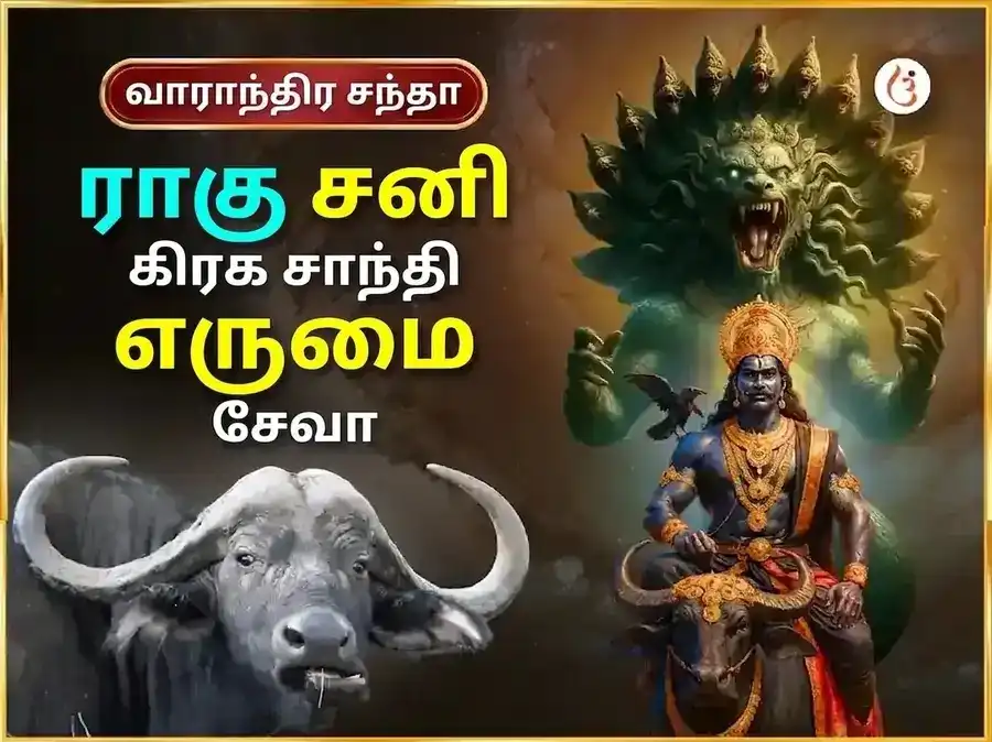 சனிவார் விசேஷ ராகு சனி கிரஹ சாந்தி வாராந்திர எருமை சேவை puja image 1