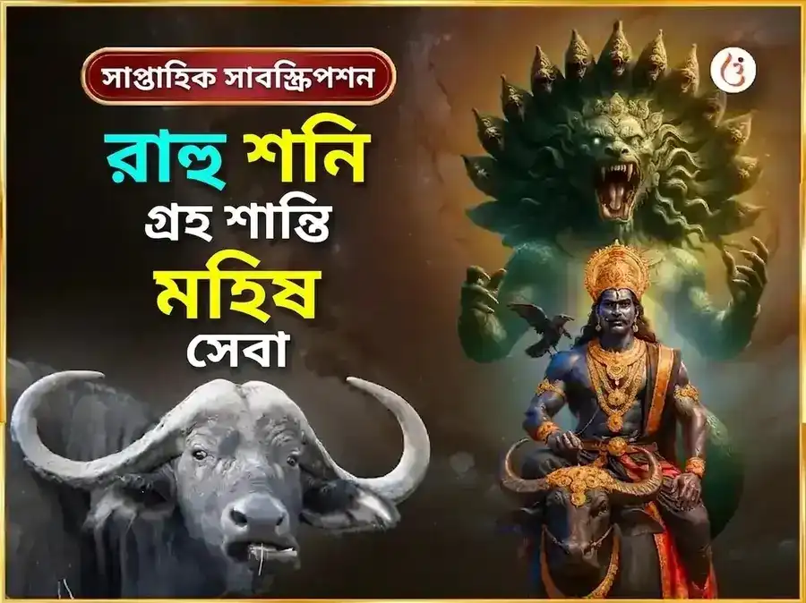 শনিবার বিশেষ রাহু শনি গ্রহ শান্তি সাপ্তাহিক মহিষ সেবা puja image 1