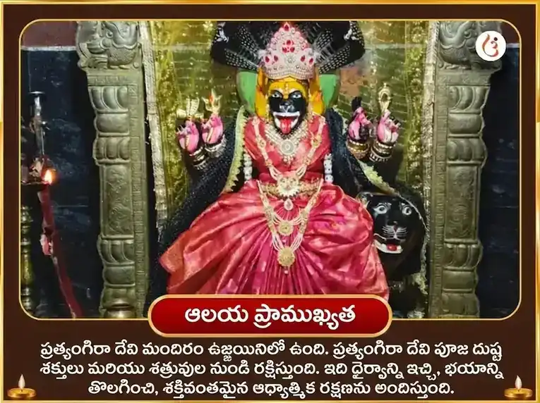 మాసిక దుర్గా అష్టమి 23000 అఘోర ప్రత్యంగిర మంత్ర జపం puja gallery 4