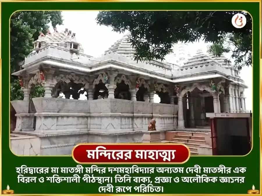 2100 মাতঙ্গী বীজ মন্ত্র জপ সর্ব সিদ্ধি हवन ও উচ্ছিষ্ট রাজ ভোগ সেবা puja gallery 4