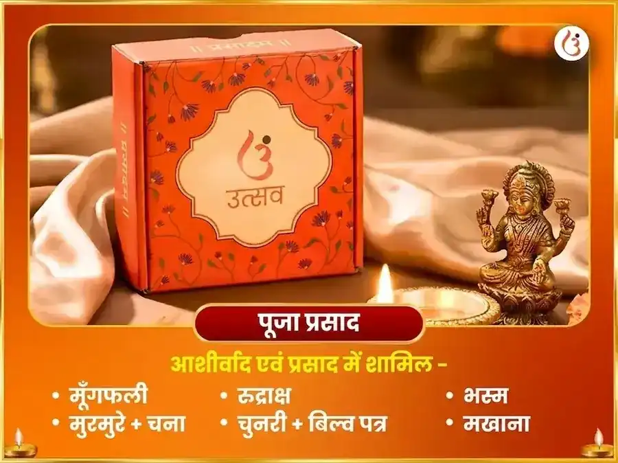 रविवार विशेष 10,000 सूर्य मूल मंत्र जाप puja gallery 3