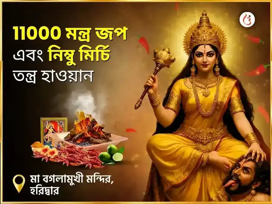 মা বগলামুখী স্বর্ণ সমৃদ্ধি হবন এবং 11000 মূল মন্ত্র জপ puja image 1