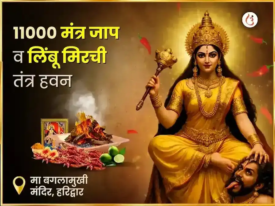 माँ बगलामुखी स्वर्ण समृद्धी हवन आणि 11000 मूळ मंत्र जाप puja image 1