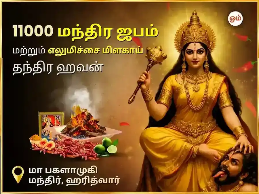 மா பக்ளாமுகி ஸ்வர்ண சம்ரித்தி ஹவன் மற்றும் 11000 மூல மந்திர ஜபம் puja image 1