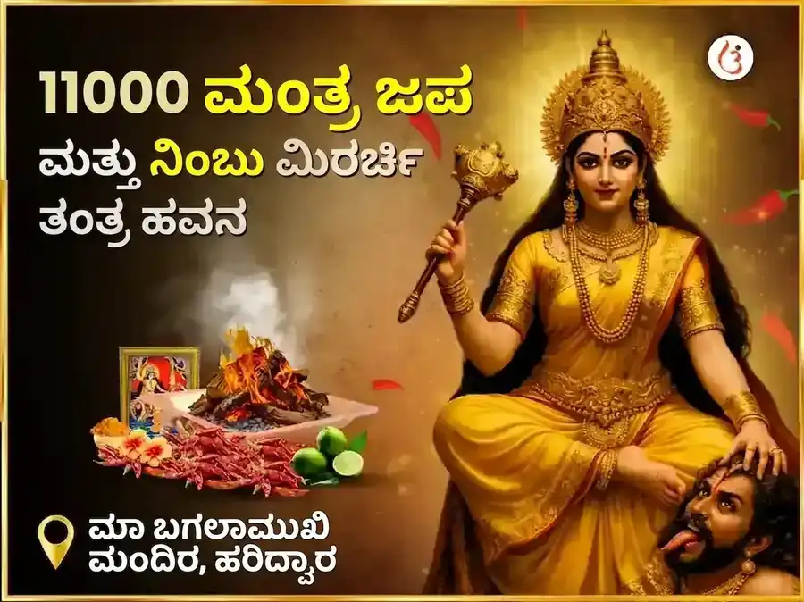 ಮಾ ಬಗಲಾಮುಖಿ ಸ್ವರ್ಣ ಸಮೃದ್ಧಿ ಹವನ ಮತ್ತು 11000 ಮೂಲ ಮಂತ್ರ ಜಪ puja image 1