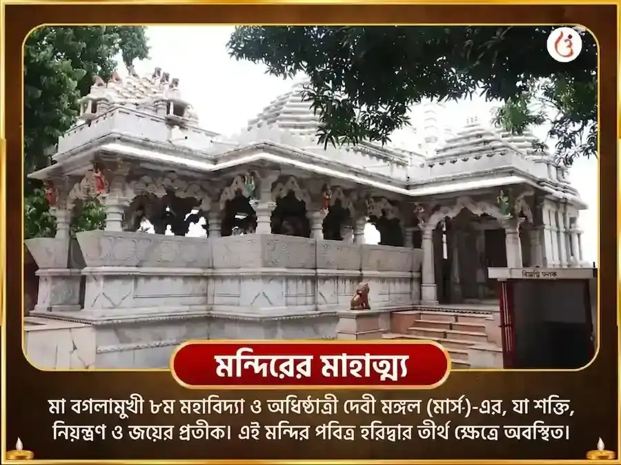 মা বগলামুখী স্বর্ণ সমৃদ্ধি হবন এবং 11000 মূল মন্ত্র জপ puja gallery 4