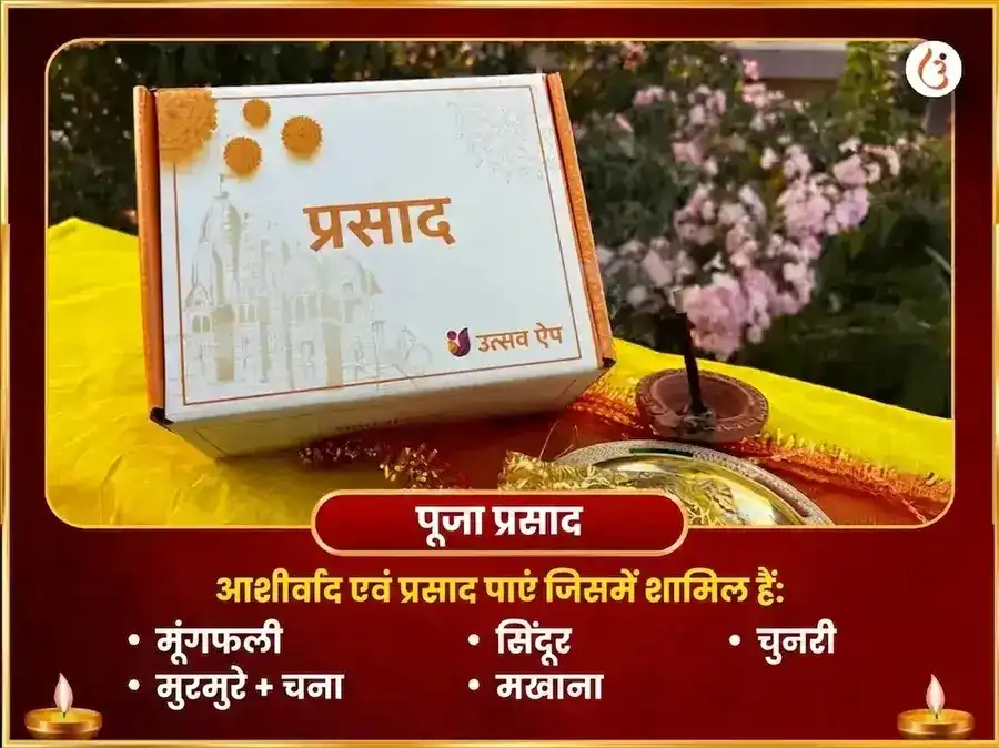 माँ भद्रकाली 108 मुंड माला सेवा और विजय समृद्धि बीज मंत्र जाप अनुष्ठान puja gallery 3