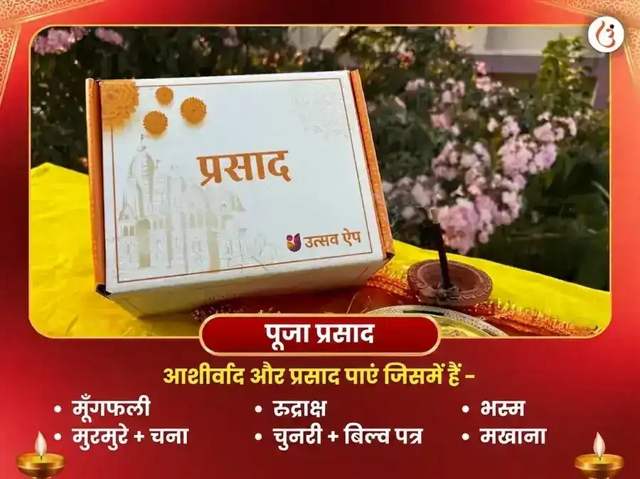 चिंतामणि गणेश विशेष 1008 गणेश सहस्र अर्चना पाठ और केतु शांति पूजा puja gallery 3
