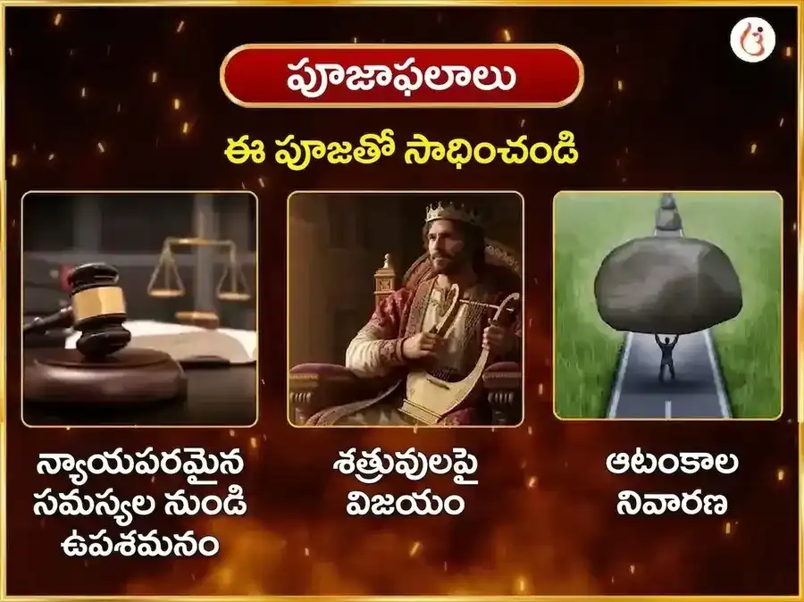 7100 నరసింహ బీజ మంత్ర జపం & 108 మహా కవచ హోమం puja gallery 1