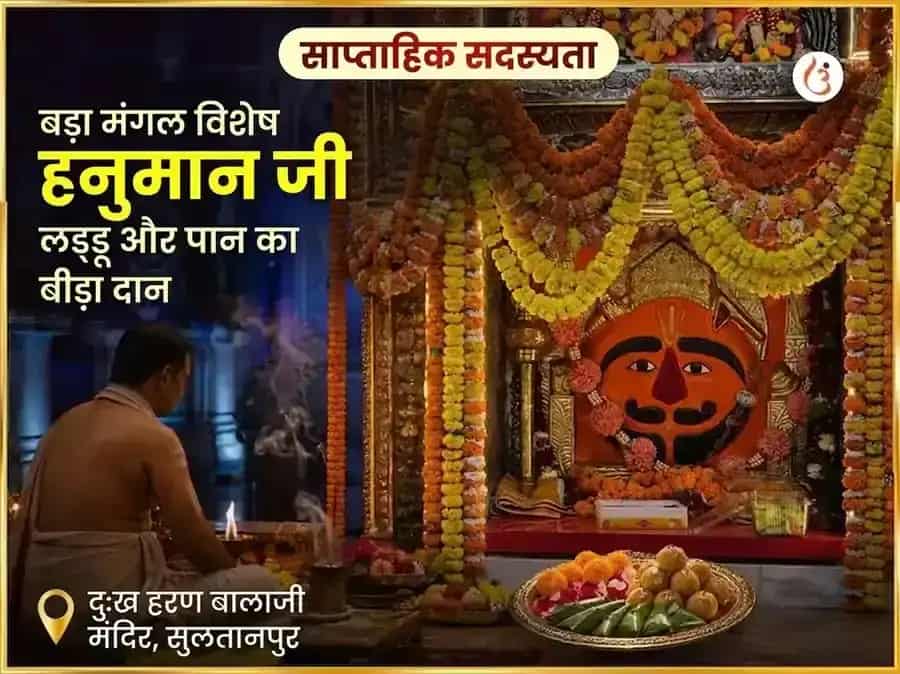 बड़ा मंगल विशेष हनुमानजी साप्ताहिक लड्डू और पान का बीड़ा दान puja image 1