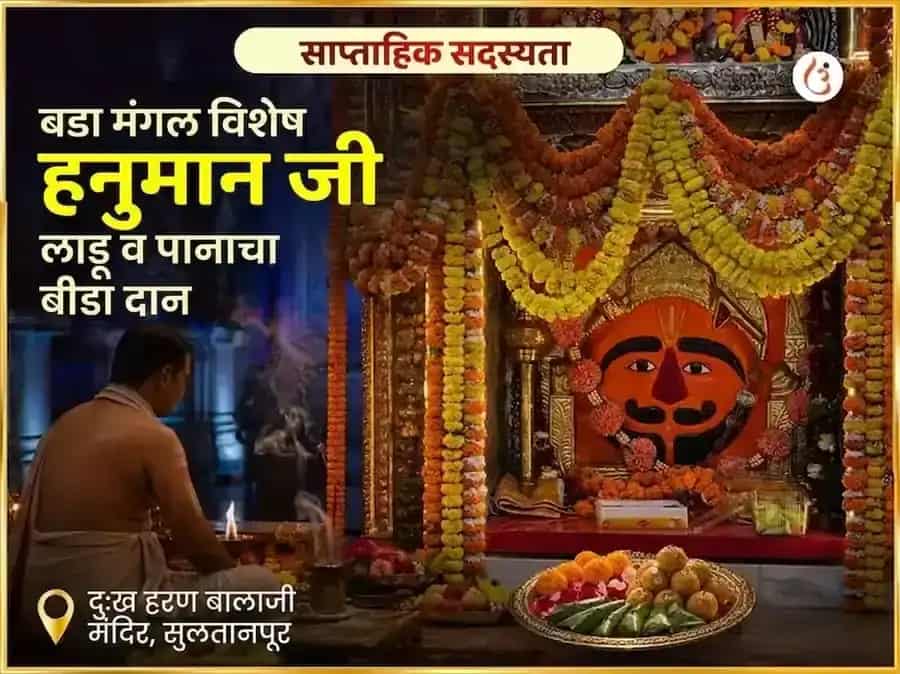 बडा मंगल विशेष हनुमानजी साप्ताहिक लाडू आणि पानाचा विडा दान puja image 1