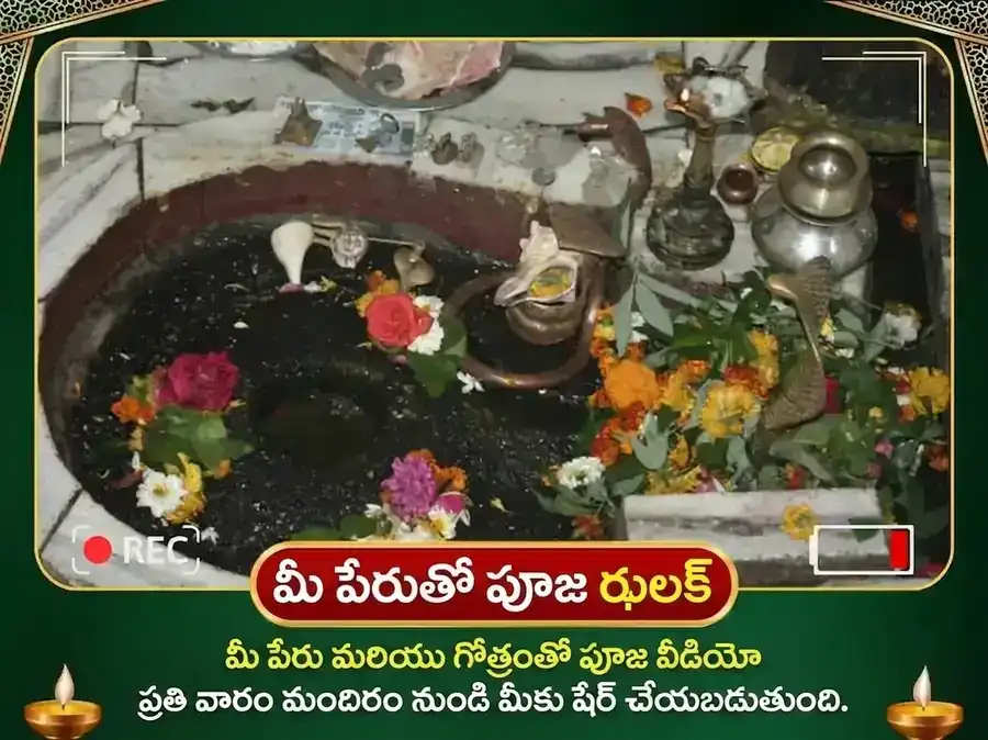 సోమవార విశేష త్రయంబకేశ్వర జ్యోతిర్లింగ సాప్తాహిక (వార) గంగా జల అభిషేక పూజ puja gallery 3
