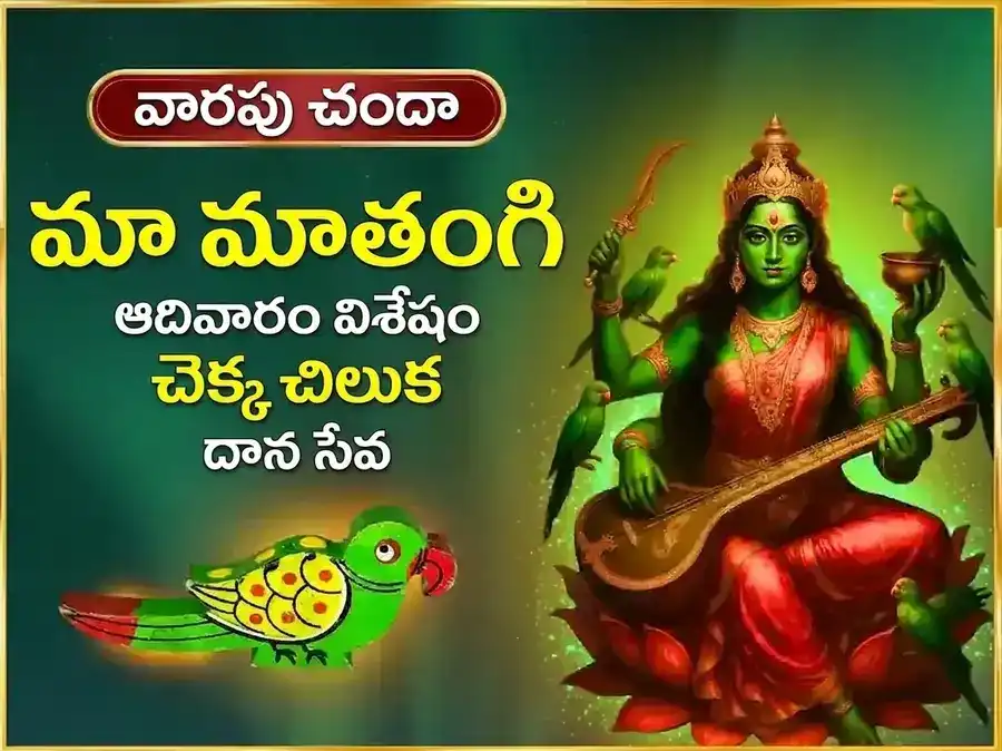రవివార్ విశేష్ మా మాతంగి వారపు చెక్క చిలుక దాన్ సేవ puja image 1