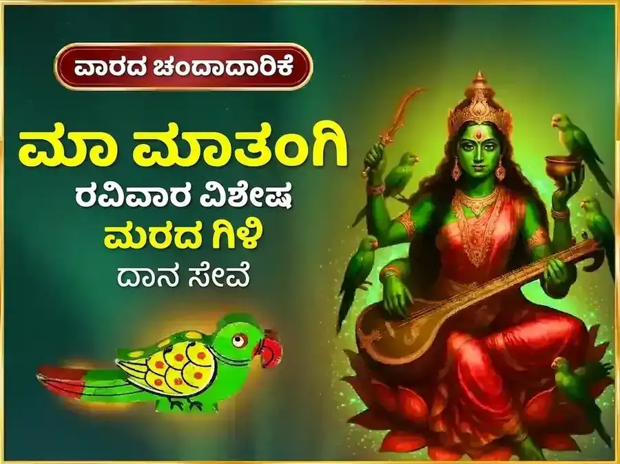 ರವಿವಾರ ವಿಶೇಷ ಮಾ ಮಾತಂಗಿ ಸಾಪ್ತಾಹಿಕ ಮರದ ಗಿಳಿ ದಾನ ಸೇವೆ puja image 1