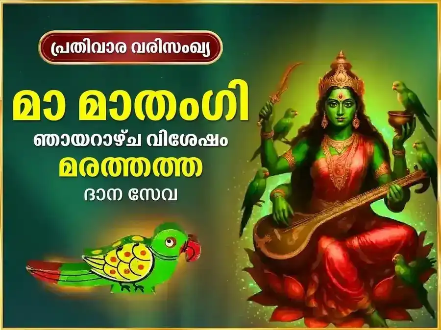 രവിവാർ വിശേഷ് മാ മാതംഗി പ്രതിവാര മരത്തത്ത ദാൻ സേവ puja image 1