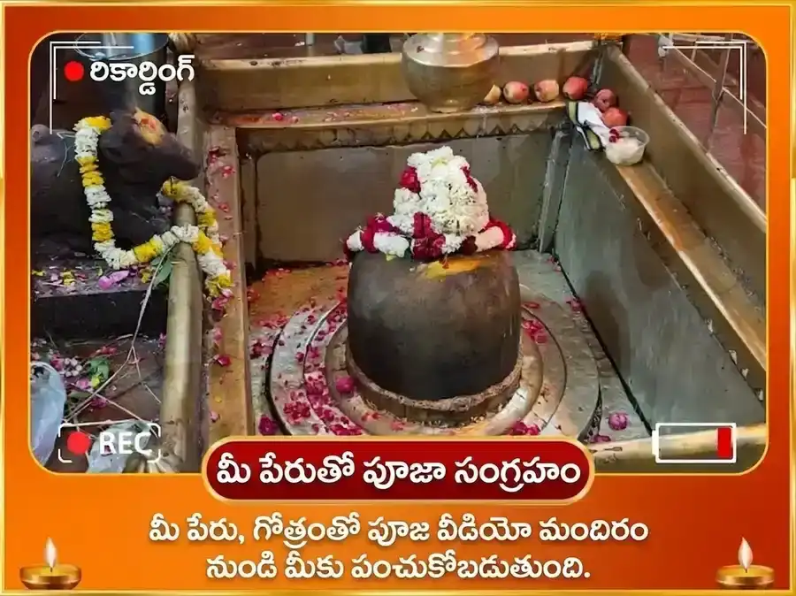 అల్టిమేట్ అరుదైన రాజయోగ స్పెషల్ 10000 సూర్య మూల మంత్ర సహిత 100 లోటాల జల అర్ఘ్య అర్పణ puja gallery 2