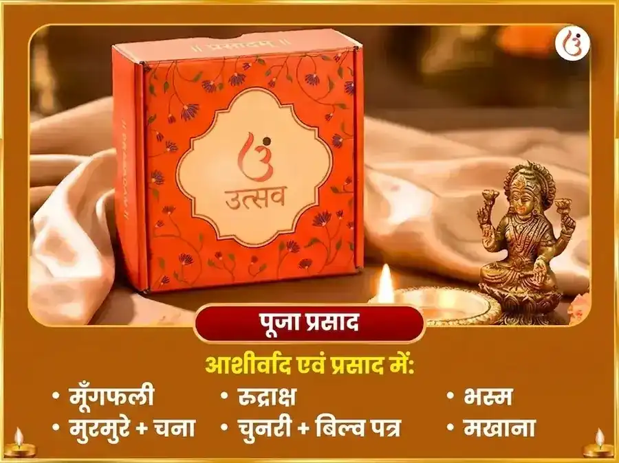 परम दुर्लभ राजयोग विशेष 10000 सूर्य मूल मंत्र सहित 100 लोटा जल अर्घ्य अर्पण puja gallery 3