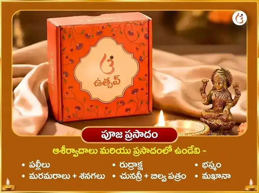 అల్టిమేట్ అరుదైన రాజయోగ స్పెషల్ 10000 సూర్య మూల మంత్ర సహిత 100 లోటాల జల అర్ఘ్య అర్పణ puja gallery 3